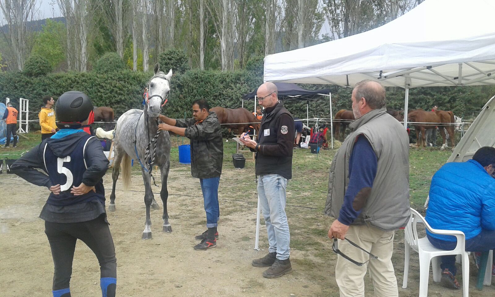 Resultados Campeonato Navarro de Raid CEI*, CET 0*, CEAP 60 y 40.
